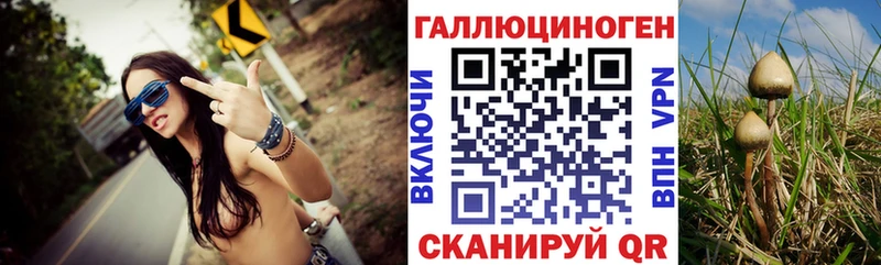 Галлюциногенные грибы MAGIC MUSHROOMS  Навашино 